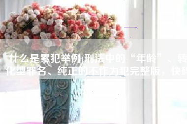 什么是累犯举例(刑法中的“年龄”、转化型罪名、纯正的不作为犯完整版，快码住)