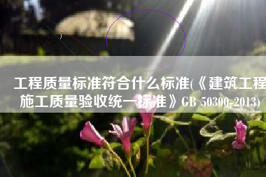 工程质量标准符合什么标准(《建筑工程施工质量验收统一标准》GB 50300-2013)