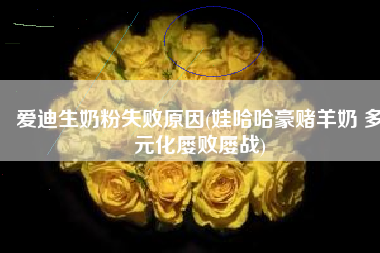 爱迪生奶粉失败原因(娃哈哈豪赌羊奶 多元化屡败屡战)