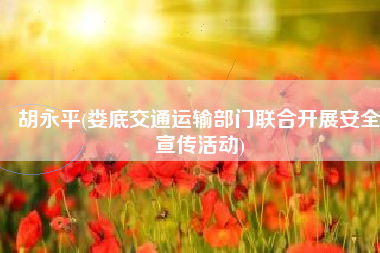 胡永平(娄底交通运输部门联合开展安全宣传活动)