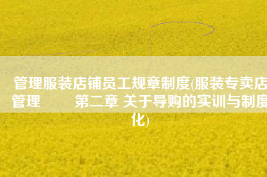 管理服装店铺员工规章制度(服装专卖店管理   第二章 关于导购的实训与制度化)