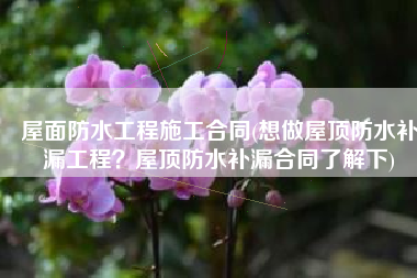 屋面防水工程施工合同(想做屋顶防水补漏工程？屋顶防水补漏合同了解下)