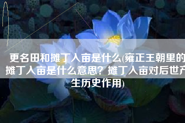 更名田和摊丁入亩是什么(雍正王朝里的摊丁入亩是什么意思？摊丁入亩对后世产生历史作用)