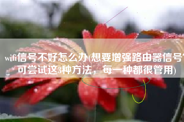 wifi信号不好怎么办(想要增强路由器信号？可尝试这3种方法，每一种都很管用)