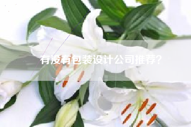 有没有包装设计公司推荐?