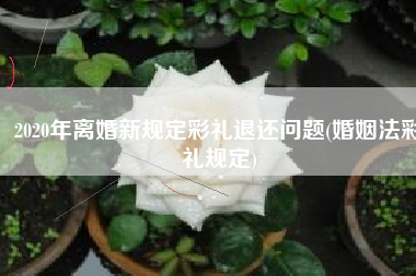2020年离婚新规定彩礼退还问题(婚姻法彩礼规定)