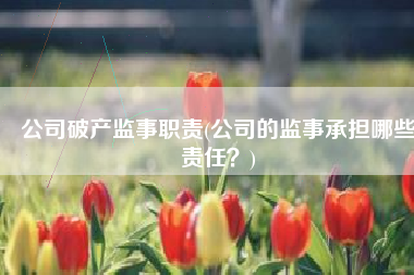 公司破产监事职责(公司的监事承担哪些责任？)