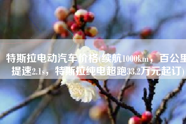 特斯拉电动汽车价格(续航1000km，百公里提速2.1s，特斯拉纯电超跑33.2万元起订)