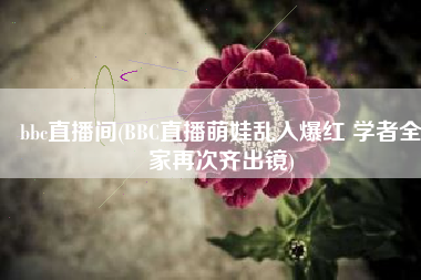 bbc直播间(BBC直播萌娃乱入爆红 学者全家再次齐出镜)