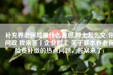 补充养老保险是什么意思,网上怎么交(你问政 我来答丨企业职工 关于基本养老保险费补缴的热点问题，答案来了)