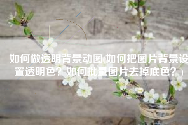 如何做透明背景动图(如何把图片背景设置透明色？如何批量图片去掉底色？)