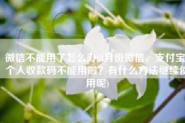 微信不能用了怎么办(3月份微信，支付宝，个人收款码不能用啦？有什么方法继续使用呢)
