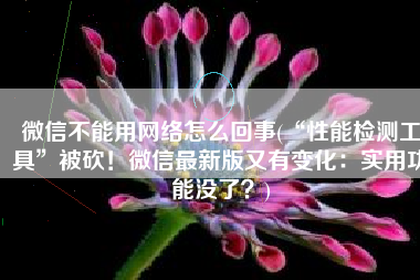 微信不能用网络怎么回事(“性能检测工具”被砍！微信最新版又有变化：实用功能没了？)