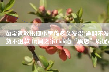 淘宝退款出现小黑猫多久发货(逾期不发货不退款 玩具之家Club陷“黑店”质疑)