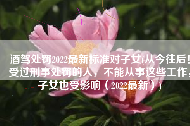酒驾处罚2022最新标准对子女(从今往后！受过刑事处罚的人，不能从事这些工作，子女也受影响（2022最新）)