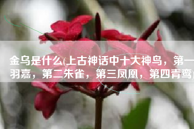 金乌是什么(上古神话中十大神鸟，第一羽嘉，第二朱雀，第三凤凰，第四青鸾)
