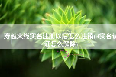 穿越火线实名注册以后怎么注销(cf实名认证怎么解除)