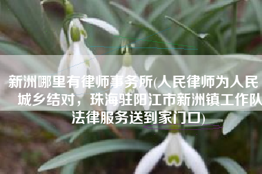 新洲哪里有律师事务所(人民律师为人民 | 城乡结对，珠海驻阳江市新洲镇工作队法律服务送到家门口)