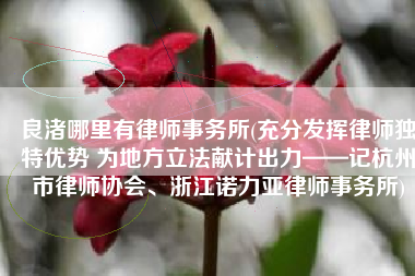 良渚哪里有律师事务所(充分发挥律师独特优势 为地方立法献计出力——记杭州市律师协会、浙江诺力亚律师事务所)
