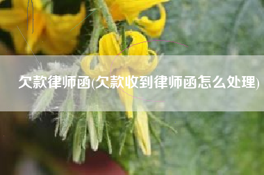 欠款律师函(欠款收到律师函怎么处理)