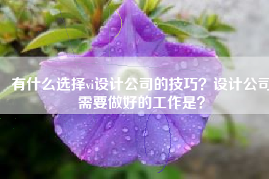 有什么选择vi设计公司的技巧？设计公司需要做好的工作是？