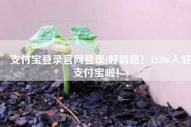 支付宝登录官网登录(好消息！12306入驻支付宝啦！)