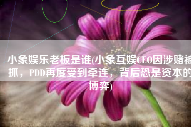 小象娱乐老板是谁(小象互娱CEO因涉赌被抓，PDD再度受到牵连，背后恐是资本的博弈)