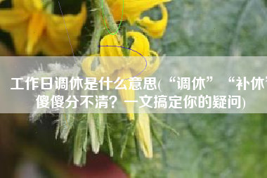 工作日调休是什么意思(“调休”“补休”傻傻分不清？一文搞定你的疑问)