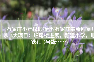 石家庄小产权房拆迁(石家庄最新回复！涉26大项目：烂尾楼进展，新建小学，地铁4、5号线……)