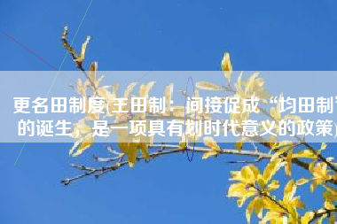 更名田制度(王田制：间接促成“均田制”的诞生，是一项具有划时代意义的政策)