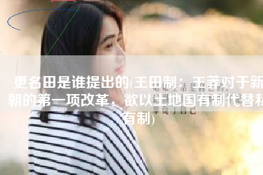 更名田是谁提出的(王田制：王莽对于新朝的第一项改革，欲以土地国有制代替私有制)