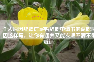 个人原因辞职信30字(辞职申请书的离职原因这样写，让你有涵养又能发泄不满不带脏话)
