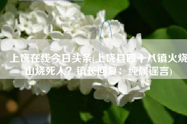 上饶在线今日头条(上饶县四十八镇火烧山烧死人？镇长回复：纯属谣言)