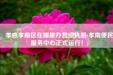 孝感孝南区在哪里办营业执照(孝南便民服务中心正式运行！)