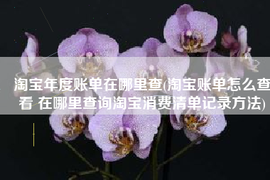 淘宝年度账单在哪里查(淘宝账单怎么查看 在哪里查询淘宝消费清单记录方法)