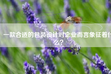 一款合适的包装设计对企业而言象征着什么？