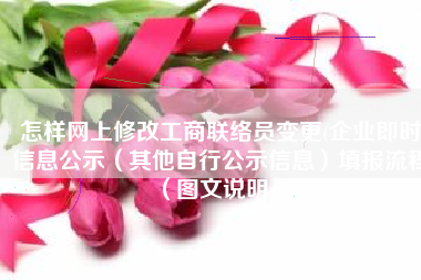 怎样网上修改工商联络员变更(企业即时信息公示（其他自行公示信息）填报流程（图文说明）)