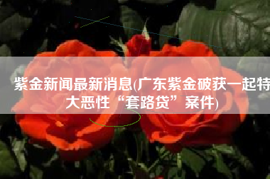 紫金新闻最新消息(广东紫金破获一起特大恶性“套路贷”案件)