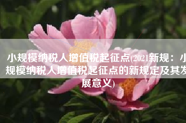 小规模纳税人增值税起征点(2021新规：小规模纳税人增值税起征点的新规定及其发展意义)
