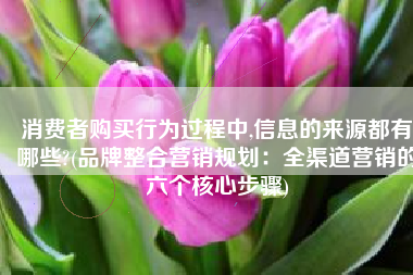 消费者购买行为过程中,信息的来源都有哪些?(品牌整合营销规划：全渠道营销的六个核心步骤)