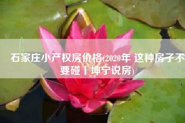 石家庄小产权房价格(2020年 这种房子不要碰丨坤宁说房)