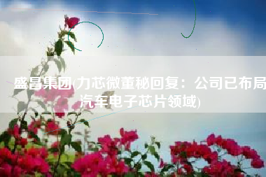 盛昌集团(力芯微董秘回复：公司已布局汽车电子芯片领域)