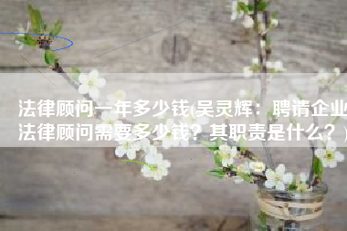 法律顾问一年多少钱(吴灵辉：聘请企业法律顾问需要多少钱？其职责是什么？)