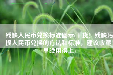 残缺人民币兑换标准图示(干货！残缺污损人民币兑换的方法和标准，建议收藏！早晚用得上)