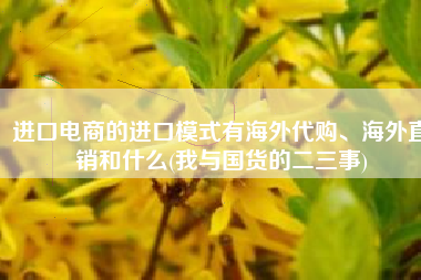 进口电商的进口模式有海外代购、海外直销和什么(我与国货的二三事)