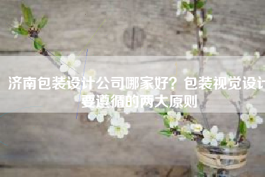 济南包装设计公司哪家好？包装视觉设计要遵循的两大原则