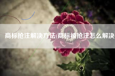 商标抢注解决方法(商标被抢注怎么解决)