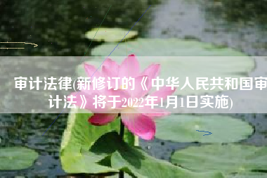 审计法律(新修订的《中华人民共和国审计法》将于2022年1月1日实施)
