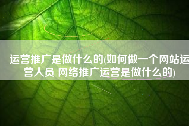 运营推广是做什么的(如何做一个网站运营人员 网络推广运营是做什么的)