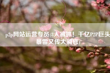 p2p网站运营专员(8人被抓！千亿P2P巨头暴雷又传大消息)